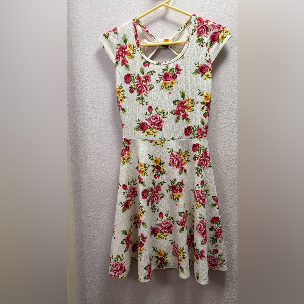 Pinc Rose Print Mini Dress - Pink and White
